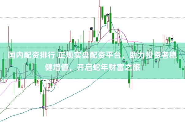 国内配资排行 正规实盘配资平台，助力投资者稳健增值，开启蛇年财富之旅