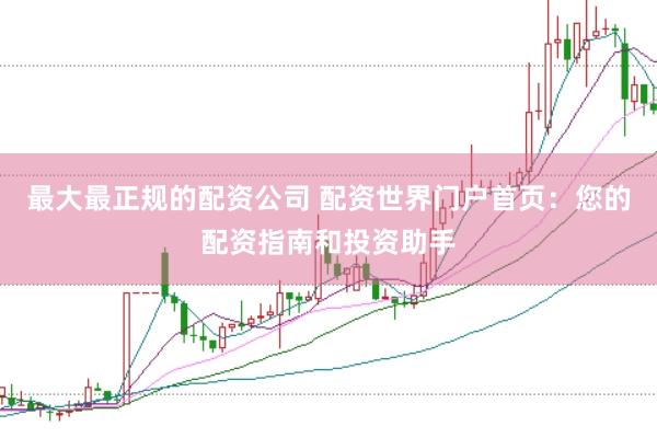 最大最正规的配资公司 配资世界门户首页：您的配资指南和投资助手