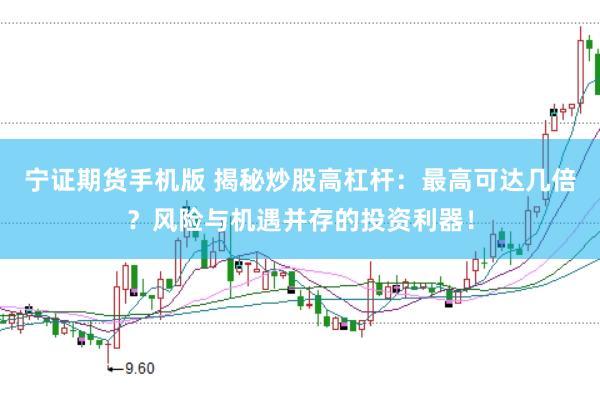 宁证期货手机版 揭秘炒股高杠杆：最高可达几倍？风险与机遇并存的投资利器！