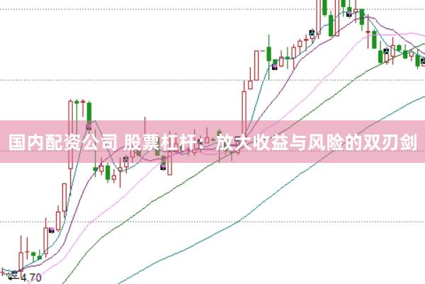 国内配资公司 股票杠杆：放大收益与风险的双刃剑
