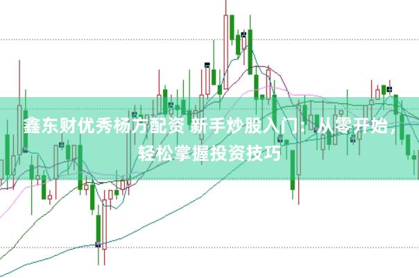 鑫东财优秀杨方配资 新手炒股入门：从零开始，轻松掌握投资技巧
