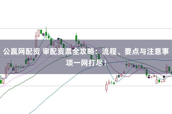 公赢网配资 审配资票全攻略：流程、要点与注意事项一网打尽！
