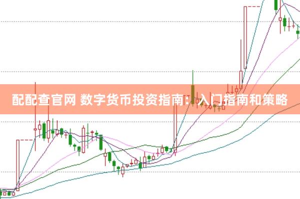 配配查官网 数字货币投资指南：入门指南和策略
