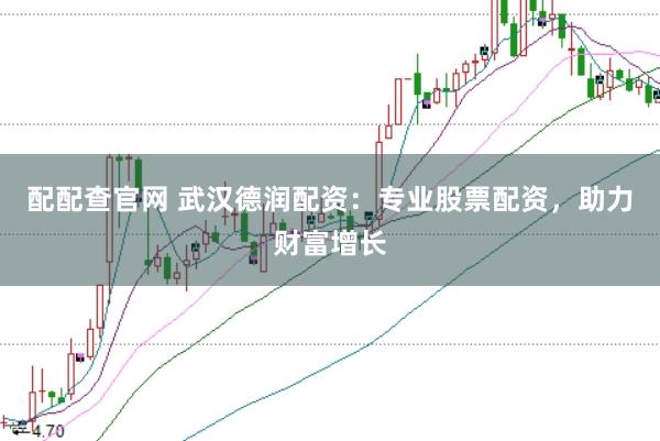 配配查官网 武汉德润配资：专业股票配资，助力财富增长