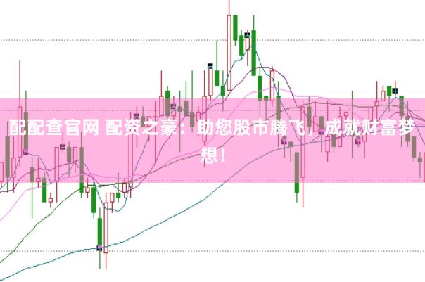 配配查官网 配资之豪：助您股市腾飞，成就财富梦想！