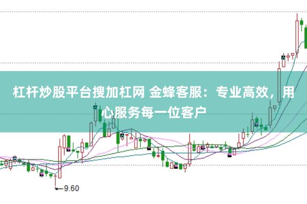 杠杆炒股平台搜加杠网 金蜂客服：专业高效，用心服务每一位客户