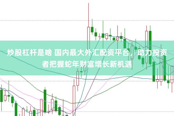 炒股杠杆是啥 国内最大外汇配资平台，助力投资者把握蛇年财富增长新机遇