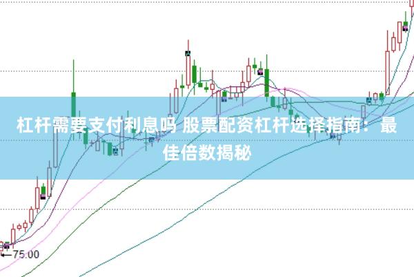 杠杆需要支付利息吗 股票配资杠杆选择指南：最佳倍数揭秘