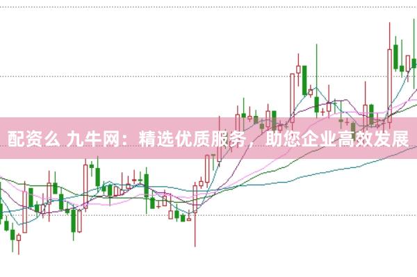配资么 九牛网：精选优质服务，助您企业高效发展