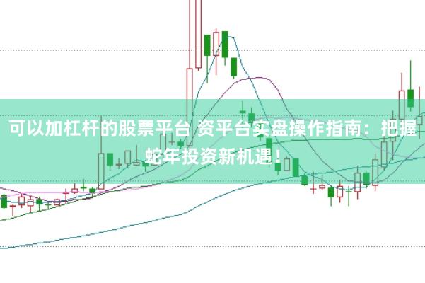 可以加杠杆的股票平台 资平台实盘操作指南：把握蛇年投资新机遇！