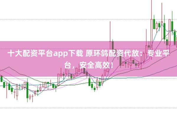 十大配资平台app下载 原环鸽配资代放：专业平台，安全高效！
