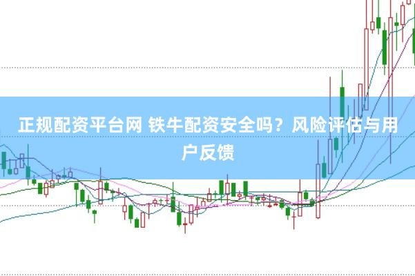 正规配资平台网 铁牛配资安全吗?风险评估与用户反馈