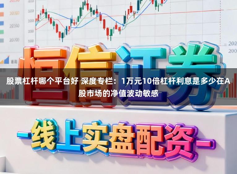 股票杠杆哪个平台好 深度专栏：1万元10倍杠杆利息是多少在A股市场的净值波动敏感