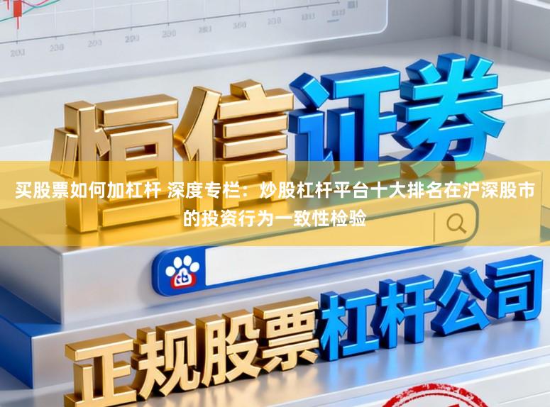 买股票如何加杠杆 深度专栏：炒股杠杆平台十大排名在沪深股市的投资行为一致性检验